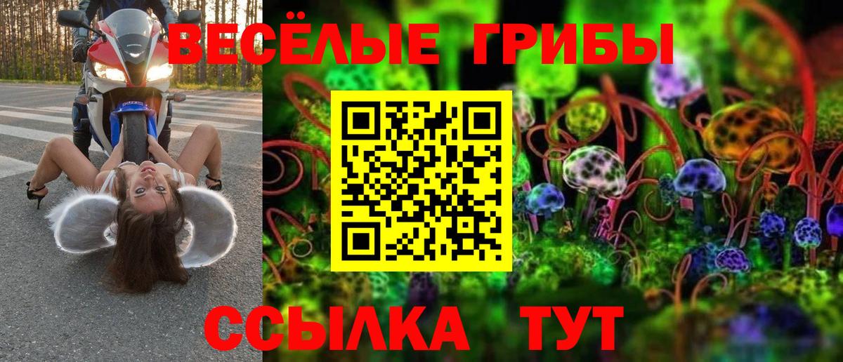 Галлюциногенные грибы Magic Shrooms Энгельс
