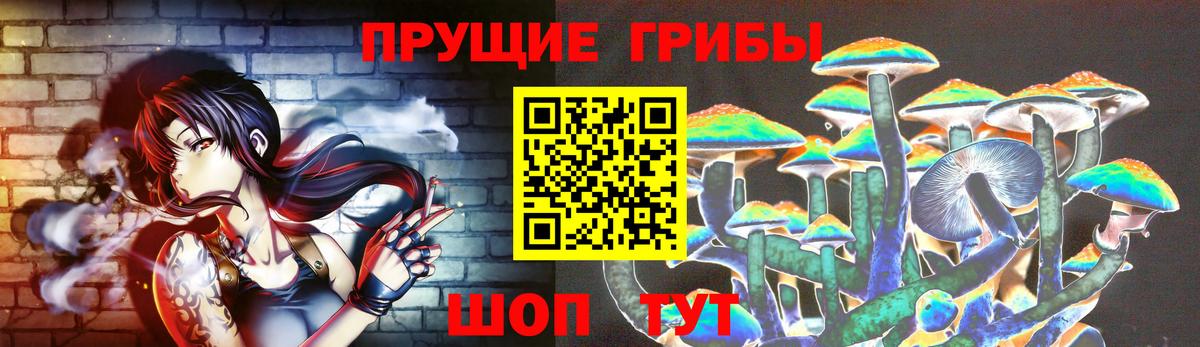 Галлюциногенные грибы Psilocybe  Вход с VPN  Энгельс 